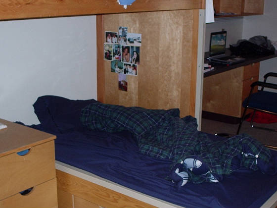 bed2.jpg